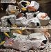 Cichlid Stone, 2 Pk