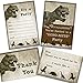 Dinosaur Birthday Party Pack - 12 Invitations, 12 Thank You Cards, 24 Envelopes