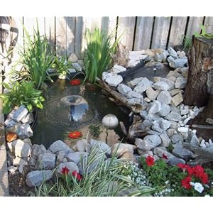 Frog Pond