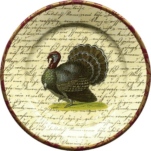 Buy Caspari The Turkey 2 Paper Salad Plate Package