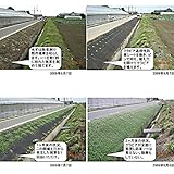 通根タイプ防草シート（穴なし） 0.9m×25m[雑草抑制][クラピアに！]