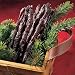 1 package of 1 oz . Gary West® World Famous Steak Strips