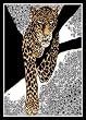 Animal Area Rug, Home Dynamix Zone Leopard