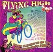 Flying High
