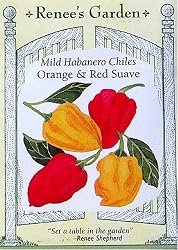Chilies Mild Habanero Orange and Red Suave Seeds 40 Seeds