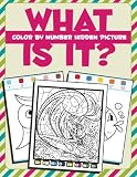 What Is It?: Color By Number Hidden Picture