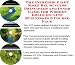 The Incredible Get More Biz, Success Principles and Inner Game for Wooden Dolls On-li...