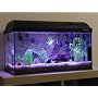 Tetra  145535 Tetratec EX Au�enfilter EX 600 - Aqu&hellip von Tetra