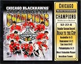 Encore Select 520-HKYCHIChamps2010 2010 Stanley Cup Champions Chicago Blackhawks 12x15 Stat Plaque