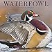 Waterfowl 2017 Wall Calendar