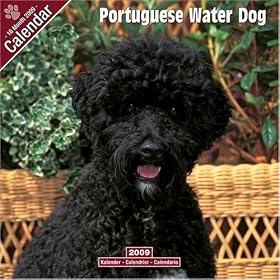 PORTUGESE WATER DOG 2009 WALL CALENDAR NEW SEALED