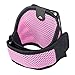 Insten Deluxe Armband Compatible with Apple iPhone 4 - Version iPhone 4S - ATT - Retail Packaging - Black/Light Pink