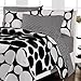 Loft Style Spot The Dot Modern Bedding Comforter Set, Black, Twin
