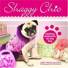 Shaggy Chic: Fetching Makeovers for Any Dog