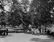 Stroll in the Boston Public Garden, ca. 1915 - 16" x 20" - Fine-Art Gicl??e Photographic Print of an Image from the Library of Congress Collection
