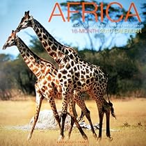 Africa 2010 Calendar: A Photographic Journey Through the Land of Safrai (Multilingual Edition)