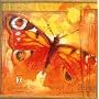 Butterfly Jigsaw Puzzle 500pc