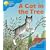 Oxford Reading Tree: Stage 3: Storybooks: Pack (6 books, 1 of each title)