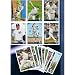World Series Champions - The One and Only Original! 2009 Topps New York Yankees Complete Team Set - 28 Cards (Includes Series 1 & 2 Topps ... Alex Rodriguez, Mickey Mantle, Matsui, Ivan, Jeter, Petitte, Girardi, 6 Rookies and More!