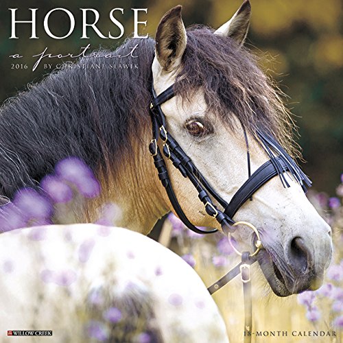 2016 Horse: A Portrait Wall Calendar