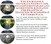 The Incredible Generate Extra Cash, Success Principles and Accounting & Finance for Elliptical Machines Businesses 3 CD Combo Pack cover image