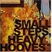 Small Steps, Heavy Hooves