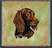 Irish Setter Lap Square - 53 x 53 Blanket/Throw