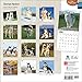 Siberian Huskies 2015 Wall Calendar