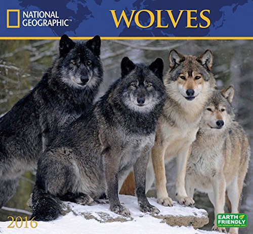 Wolves National Geographic 2016 Wall Calendar