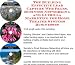 The Guerilla Marketing, Building Effective Lead Capture Web Pages, Business Networking for Home Theater Systems Businesses
