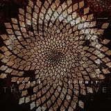 Collective