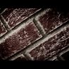 Black River Killer, directed by Daniel Elkayam