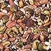 Wild Delight Woodpecker, Nuthatch N' Chickadee Food, 5 lb