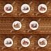 SET (8) VINTAGE TRAINS LOCOMOTIVES DRAWER PULLS KNOBS