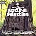 Musik : Natural Selection