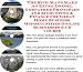 The Rich Man's Make An Extra Income, Godfather Principles and Accounting & Finance for Great Home Business Opportunities On-line Businesses 3 CD Course