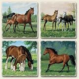 Assorted Coaster set~ Horses in Green Pastures ~4 Tumbled Tile Drink Coasters ~ code 692