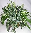 Mixed Artificial Greenery Arrangement in Tin