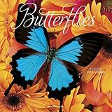 (12x12) Butterflies - 2013 Wall Calendar