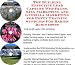 Check out The Guerilla Marketing, Building Effective Lead Capture Web Pages, SIVA Marketing for Potty Training Supplies For Babies Businesses