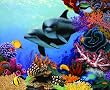Sea Gems 1500pc Jigsaw Puzzle by Mark MacKay