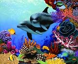 Ocean