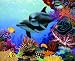 Sea Gems 1500pc Jigsaw Puzzle by Mark MacKay