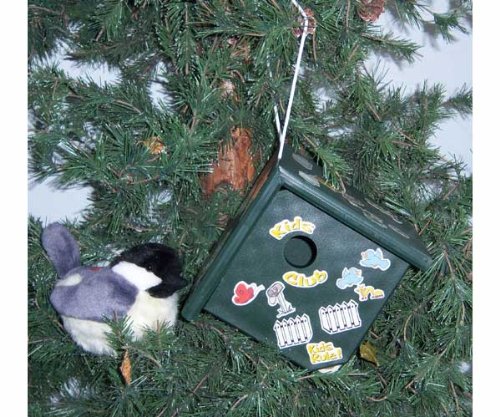 Bird House Kit - Audobon Bird
