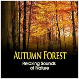 Sounds of Nature