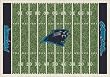 Carolina Panthers 3' 10" x 5' 4" NFL Home Field Area Rug