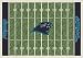 Carolina Panthers 3' 10" x 5' 4" NFL Home Field Area Rug