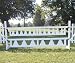 Small Triangle Picket Gate Wood Horse Jumps 12ft