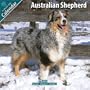 Australian Shepherd 2010 Wall Calendar #10008-10