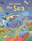 See Under the Sea (Usborne Flap Book)